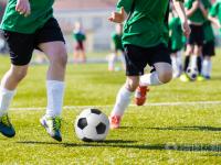 利物浦VS水晶宫水晶宫vs利物浦